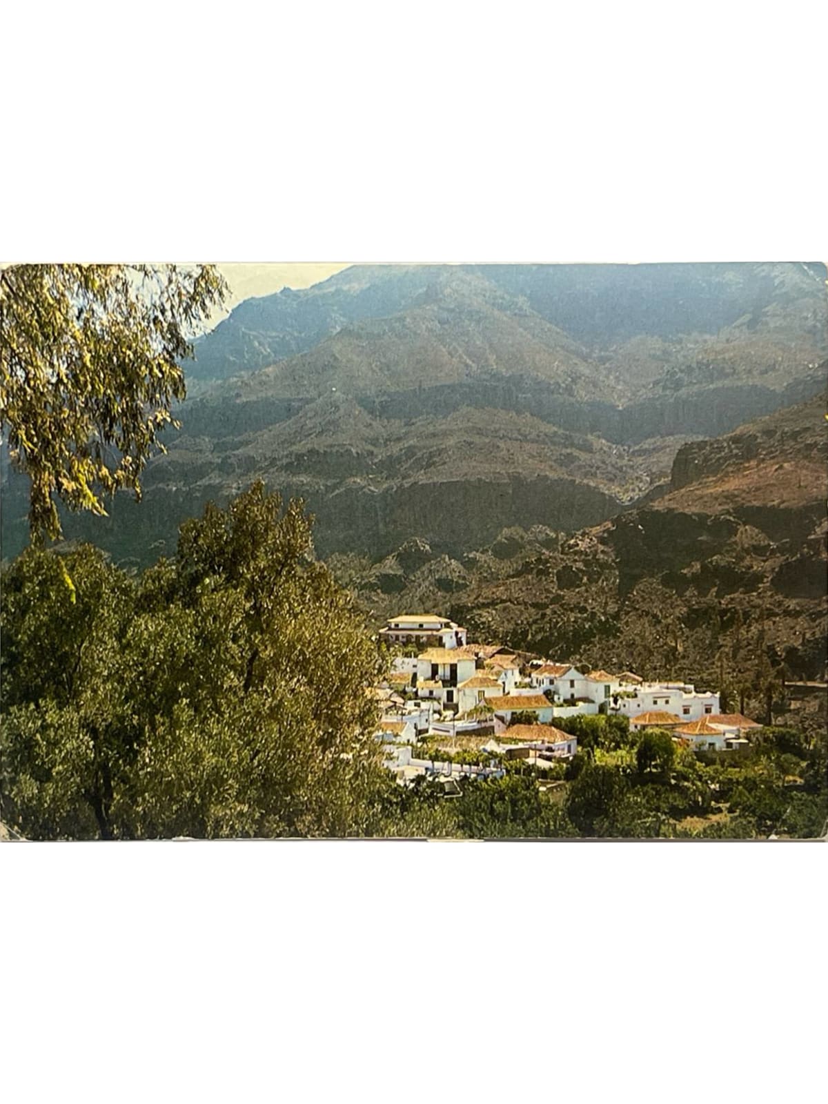 Recto de la carte postale