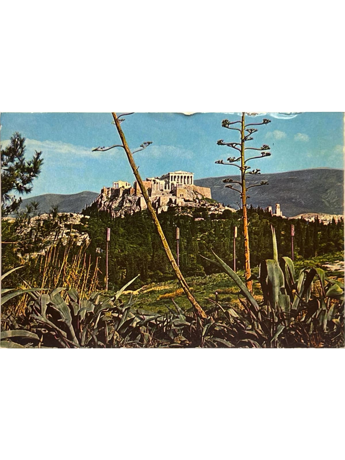 Recto de la carte postale