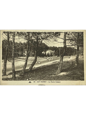 Cap Ferret – La Route Océane dans les pins – CPA n°104