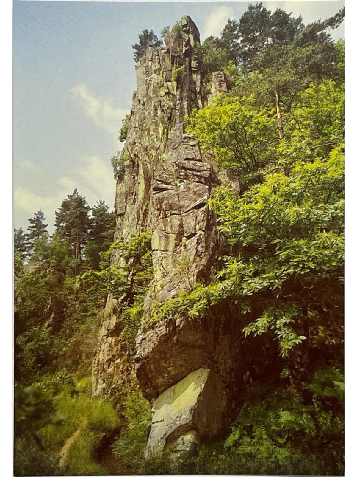 Recto de la carte postale