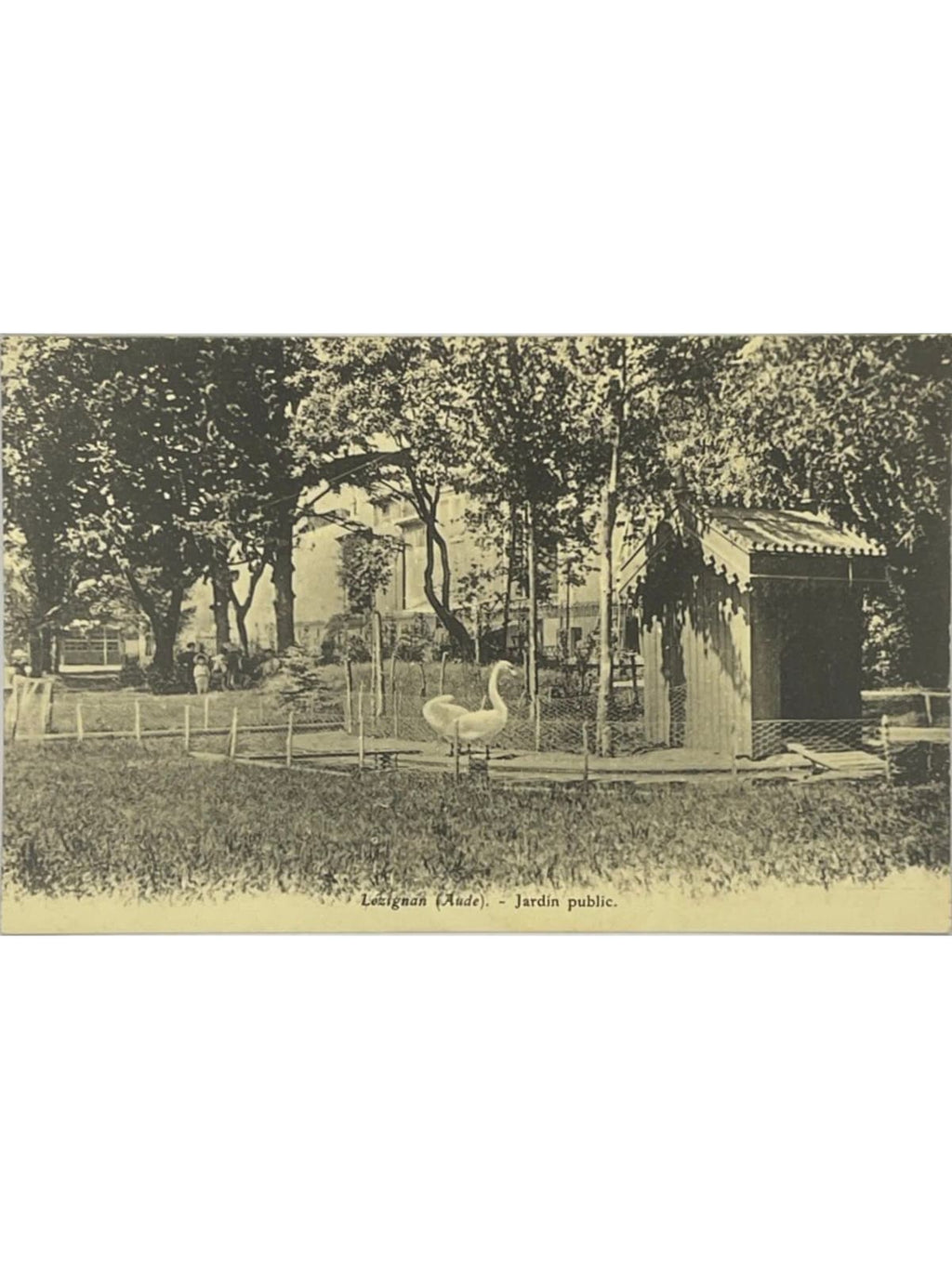 Recto de la carte postale