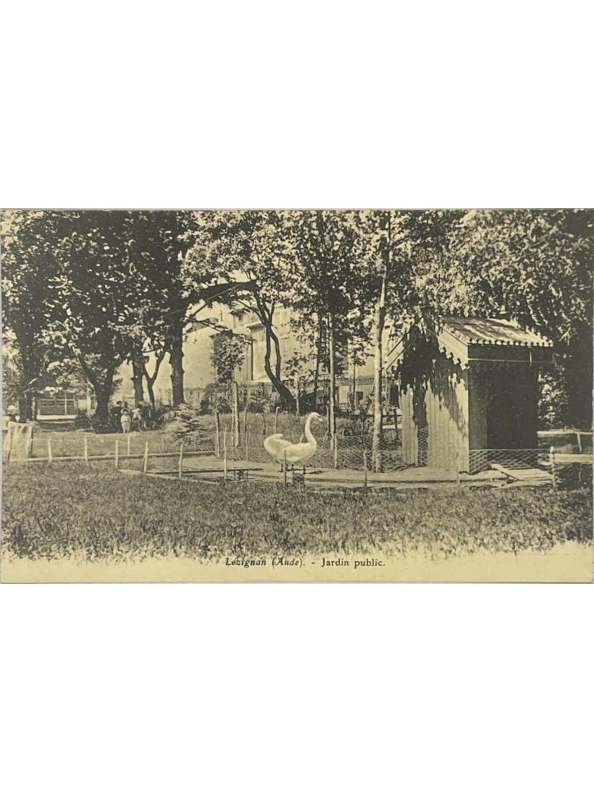 Recto de la carte postale