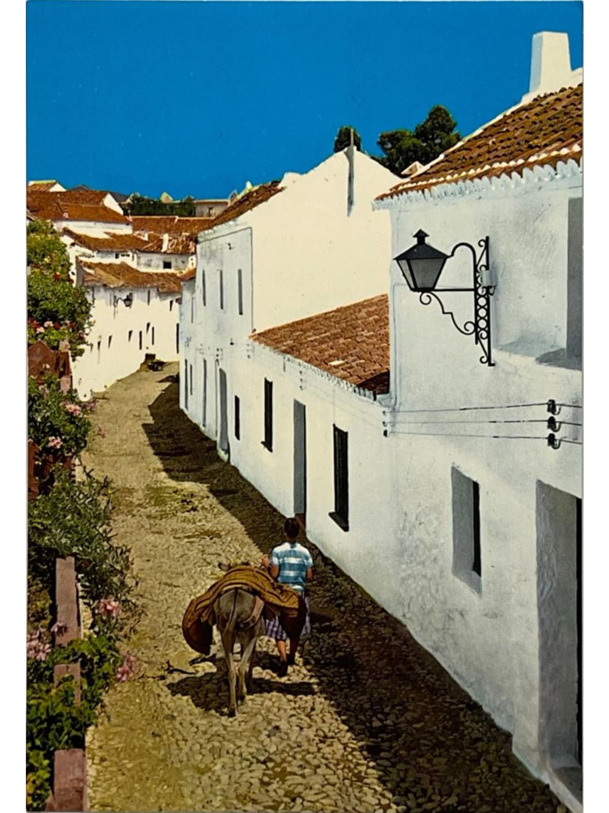 Recto de la carte postale