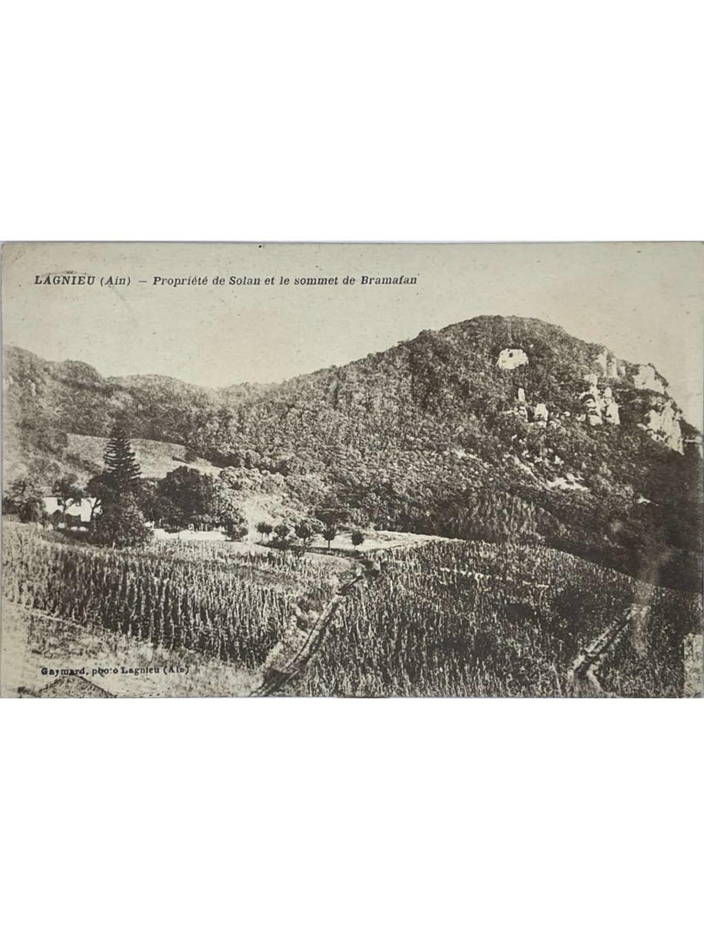 Recto de la carte postale