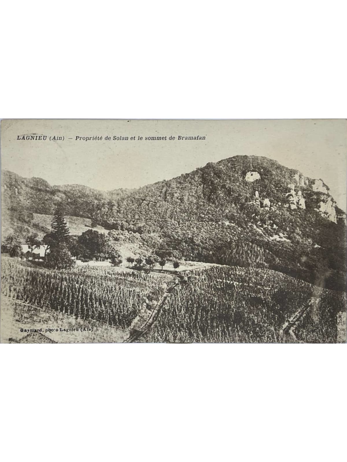 Recto de la carte postale