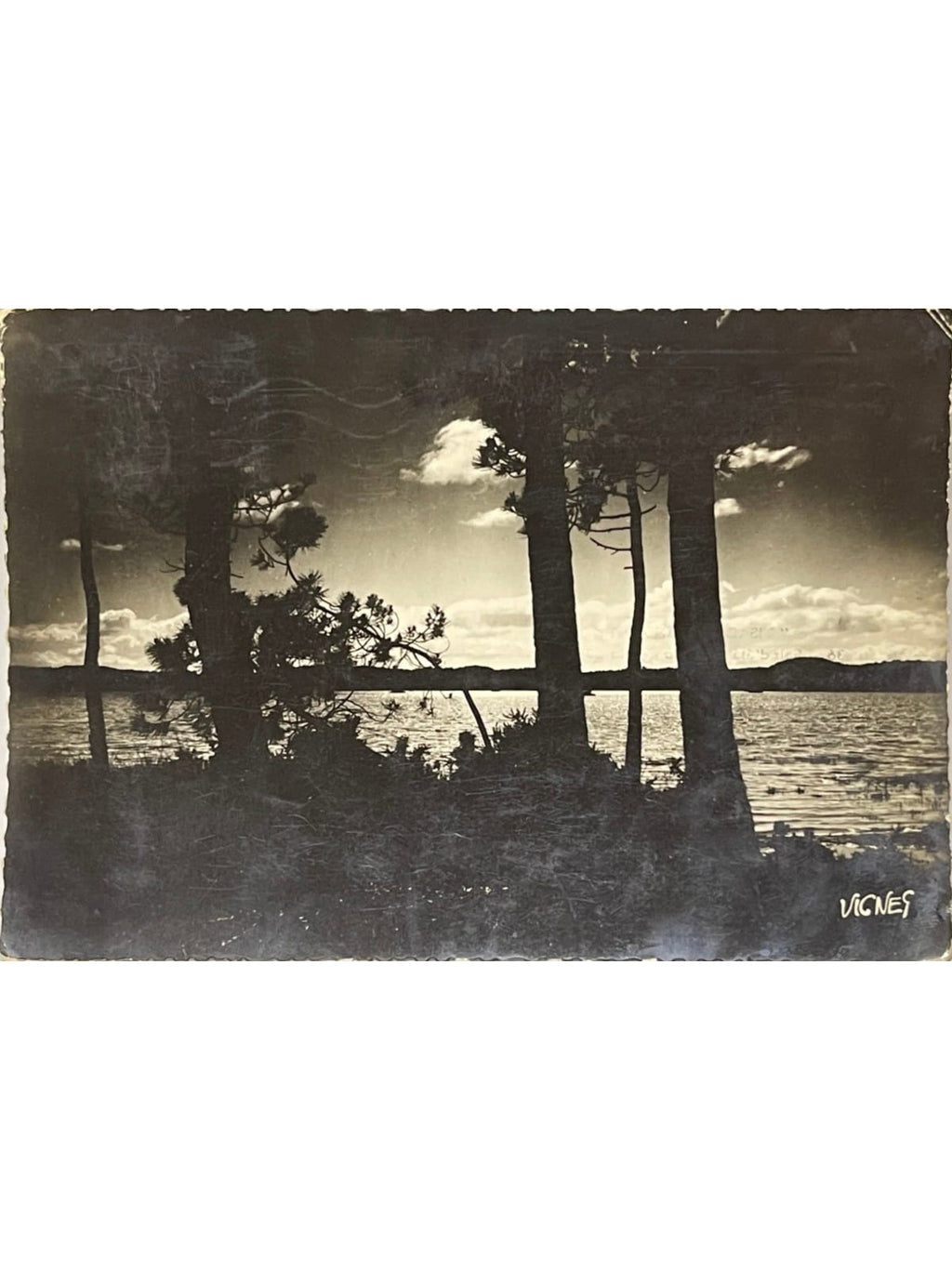 Recto de la carte postale