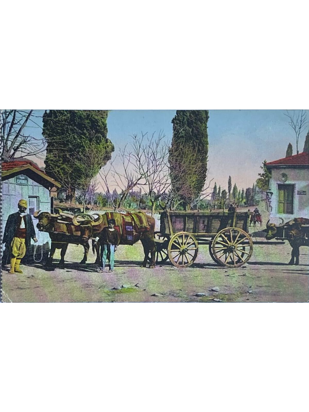 Recto de la carte postale