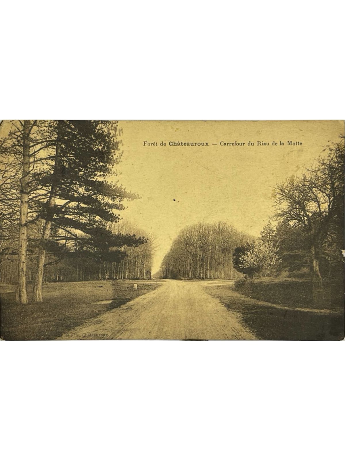 Recto de la carte postale