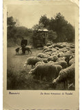 Recto de la carte postale