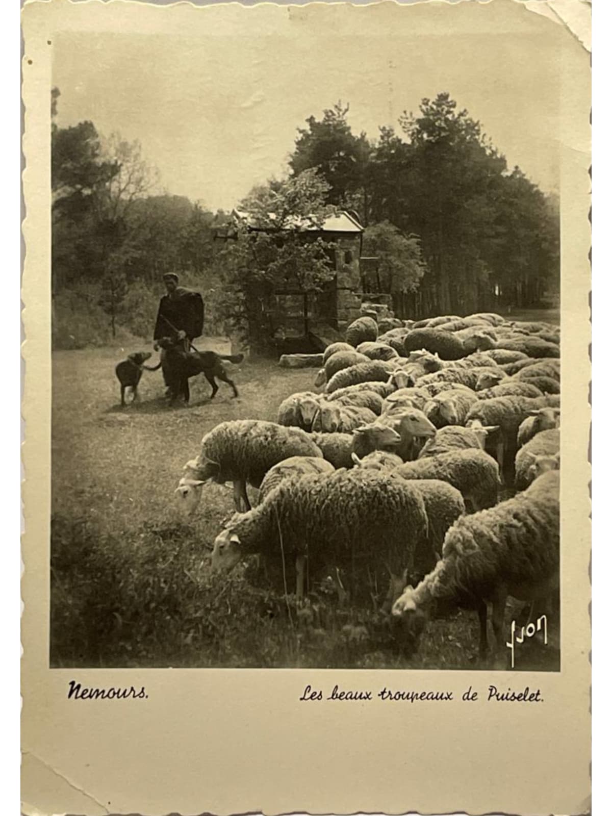Recto de la carte postale