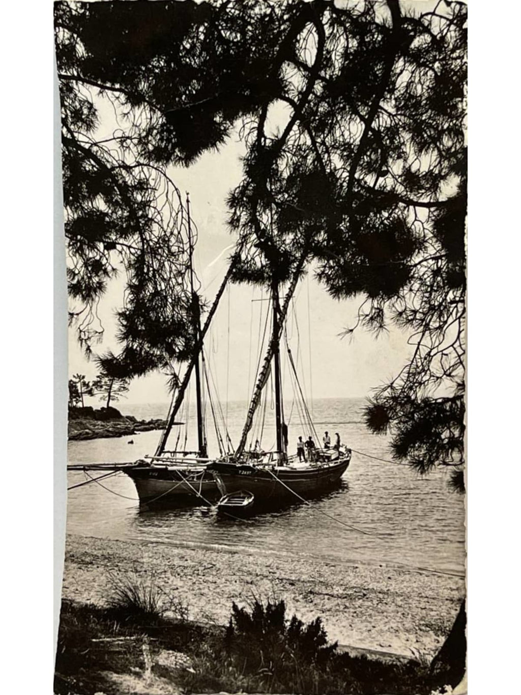 Recto de la carte postale