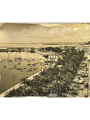 Alicante – Le port et l'Explanada – Carte postale 1958