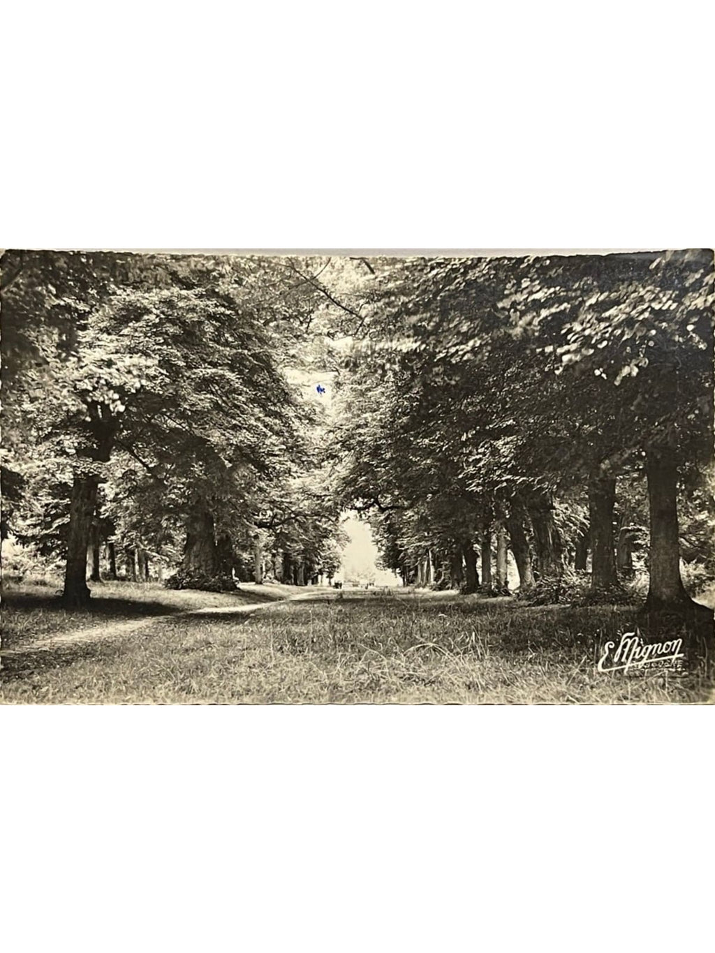 Recto de la carte postale