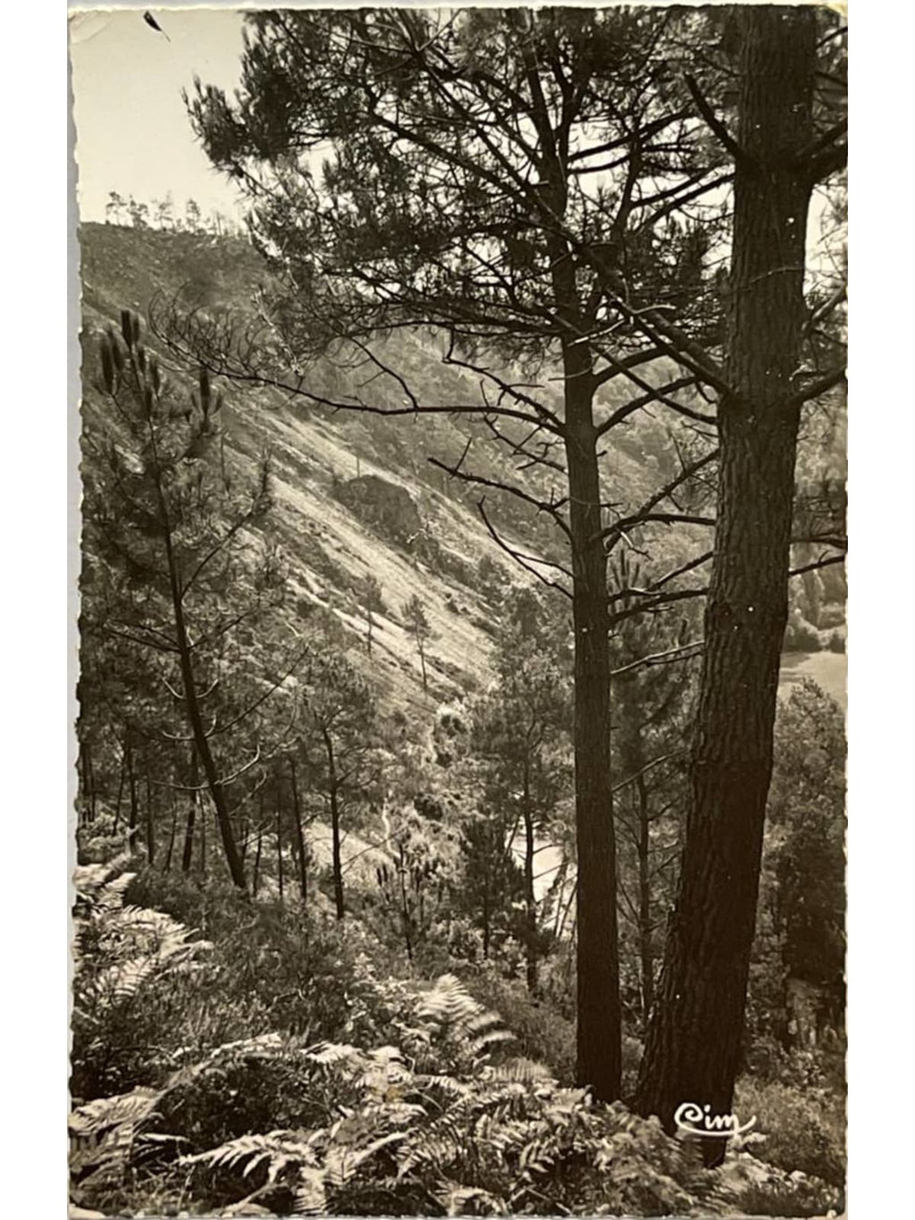 Recto de la carte postale