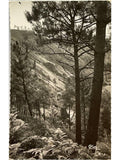 Recto de la carte postale