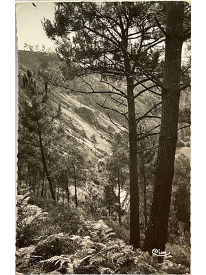 Saint-Léonard-des-Bois – Versant du Haut-Fourché, Alpes Mancelles – CPSM