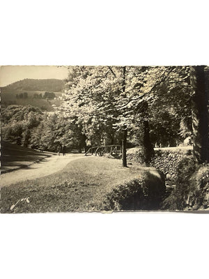 Bagnères-de-Bigorre (65) – Promenade de Salut – Carte postale 1956