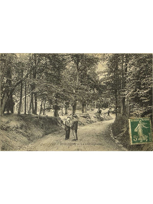 Le Plessis-Robinson (92) – La Châtaigneraie, promenade en forêt – CPA