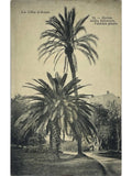 Recto de la carte postale