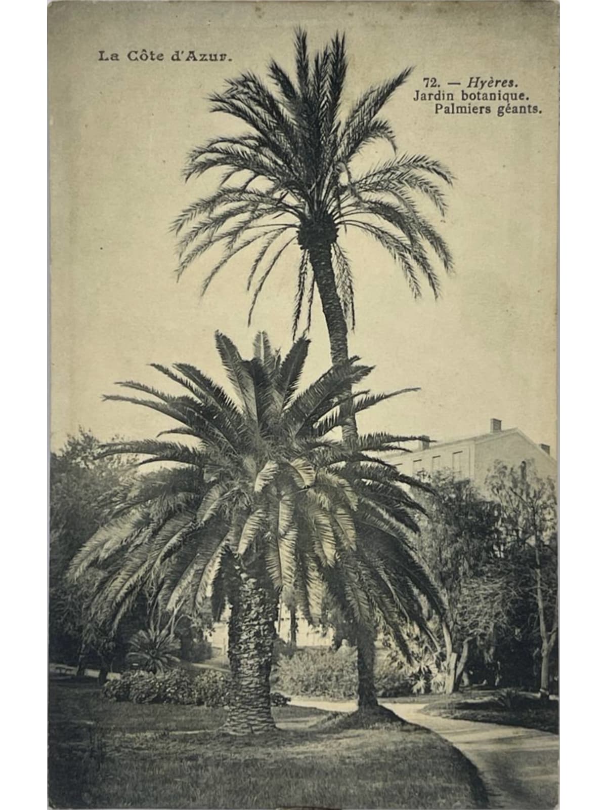Recto de la carte postale