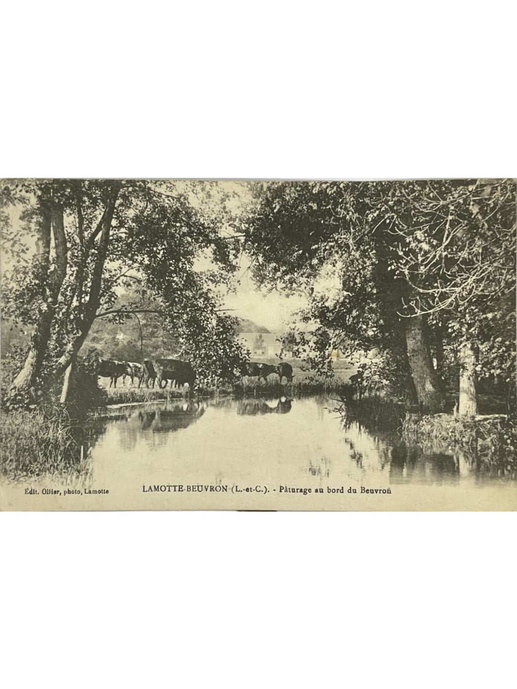 Recto de la carte postale