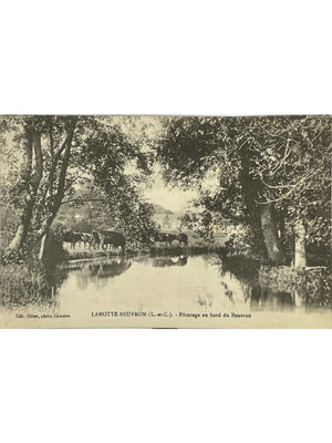 Lamotte-Beuvron – Pâturage au bord du Beuvron – CPA ancienne