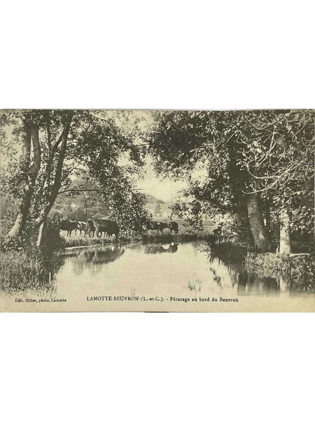 Recto de la carte postale