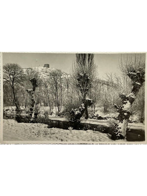 Carte postale – Ambérieu-en-Bugey – L'Albarine en hiver – carte photo ancienne