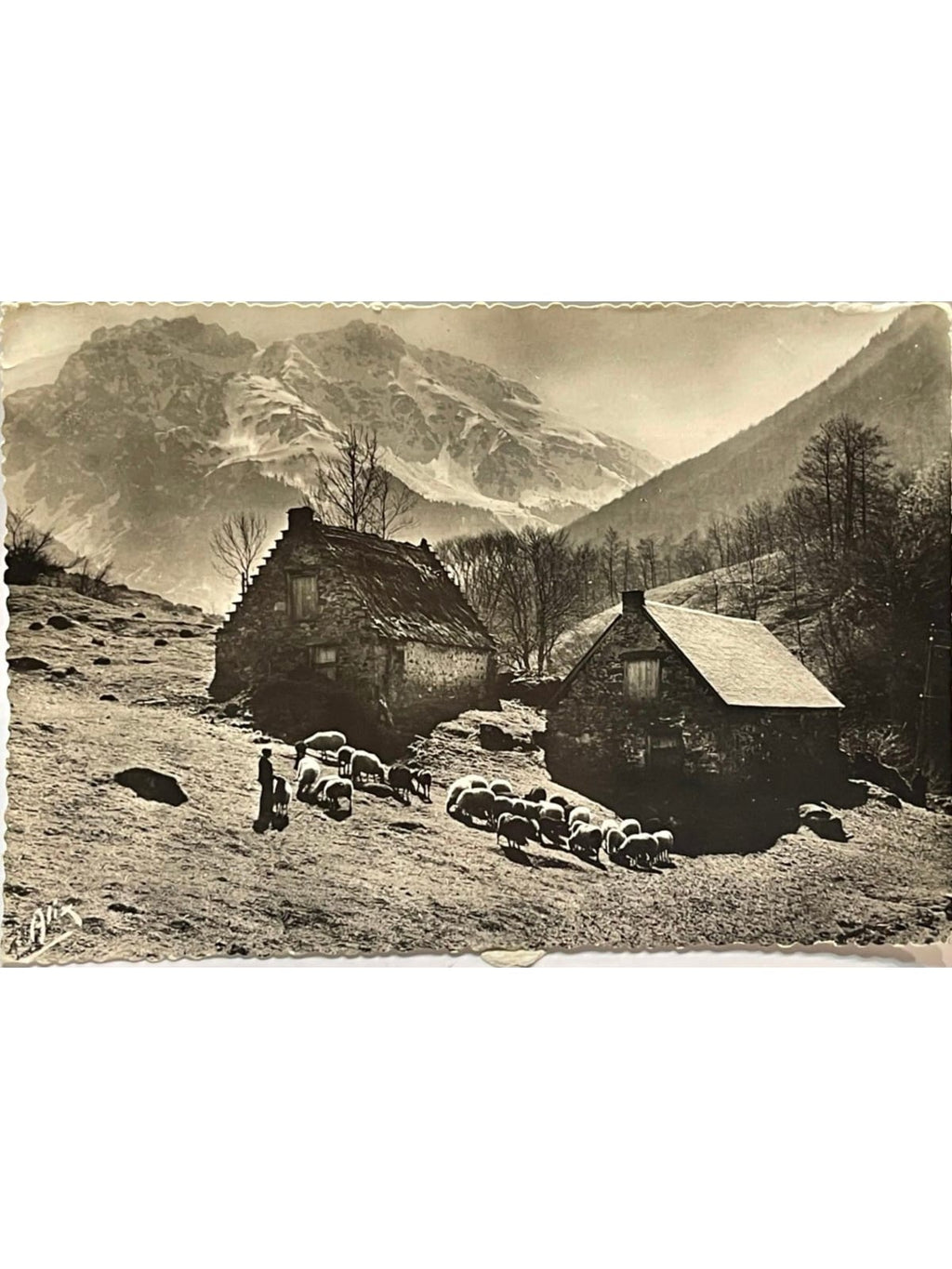 Recto de la carte postale