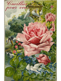 Recto de la carte postale