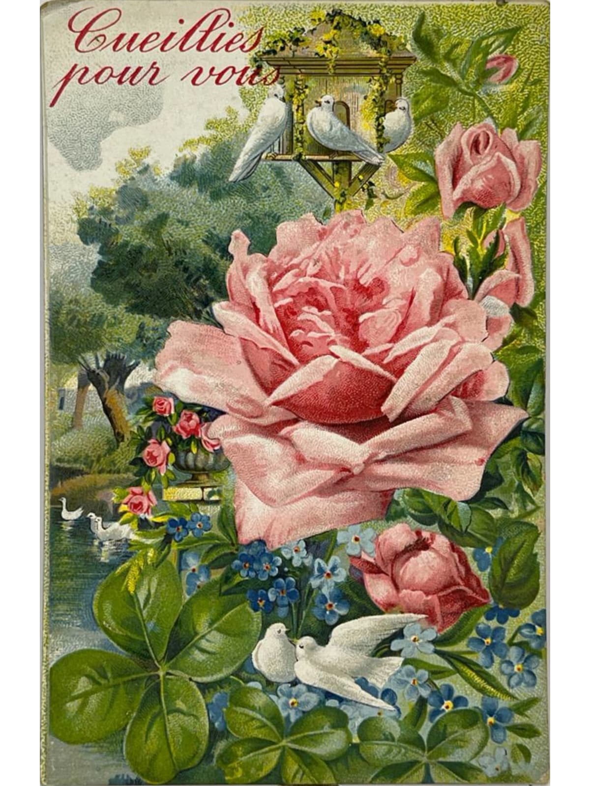 Recto de la carte postale