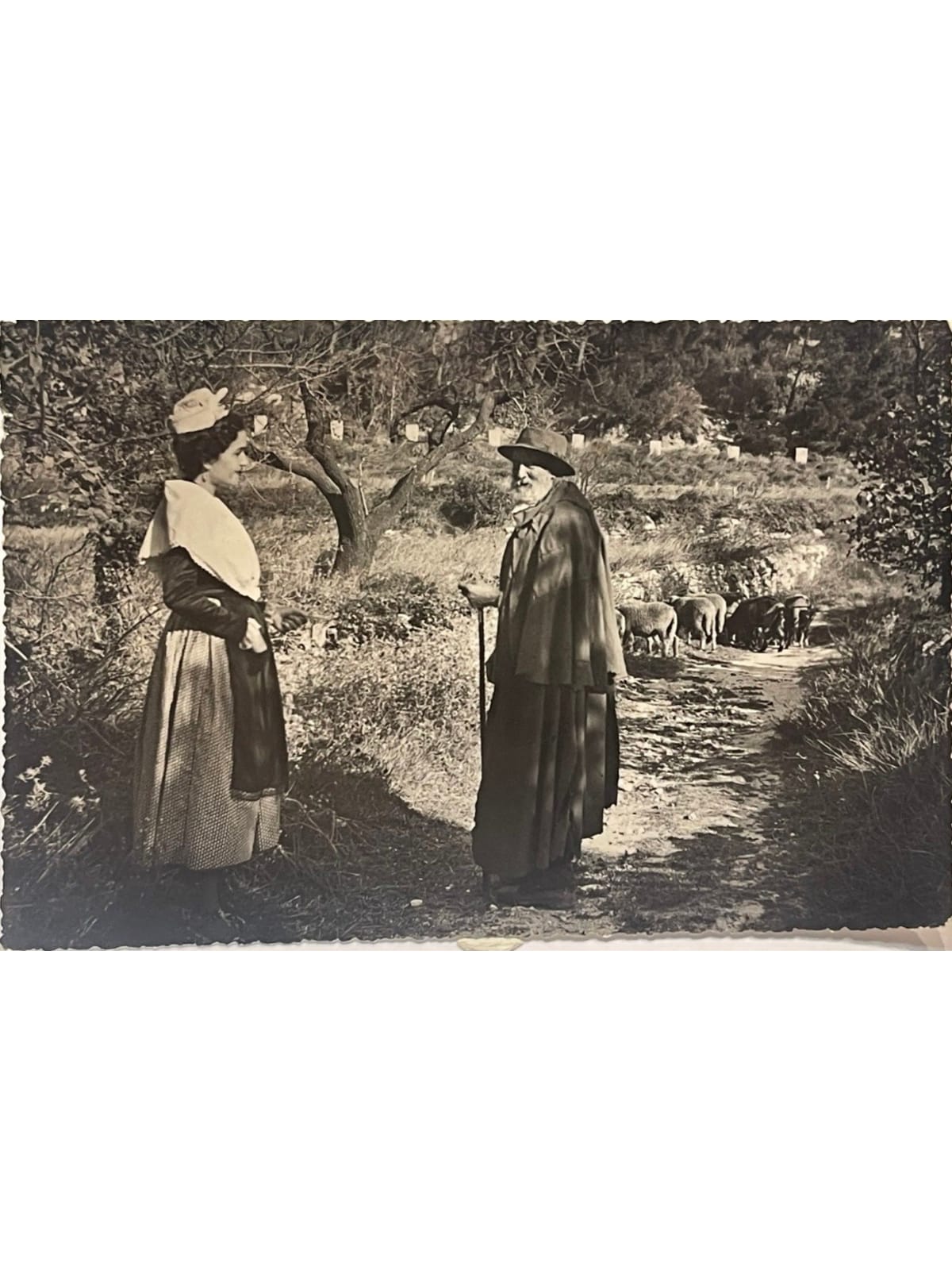 Recto de la carte postale