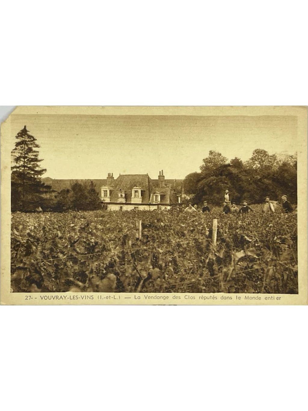 Recto de la carte postale