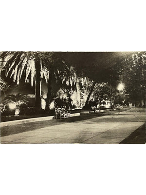 Cannes – Jardins de la Croisette de nuit – CPSM n° 38