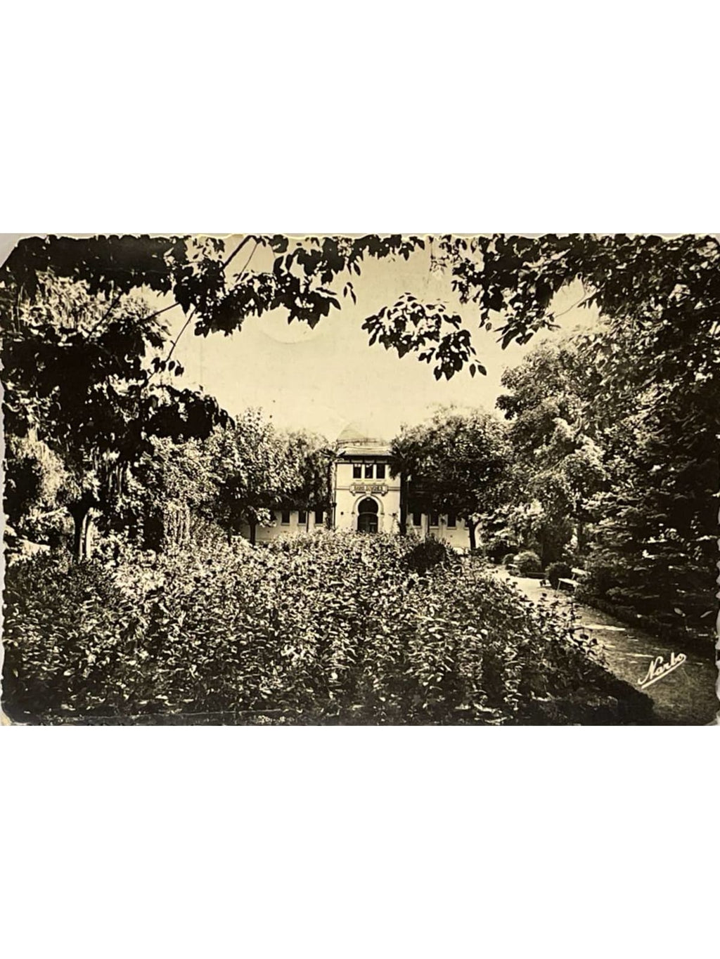 Recto de la carte postale