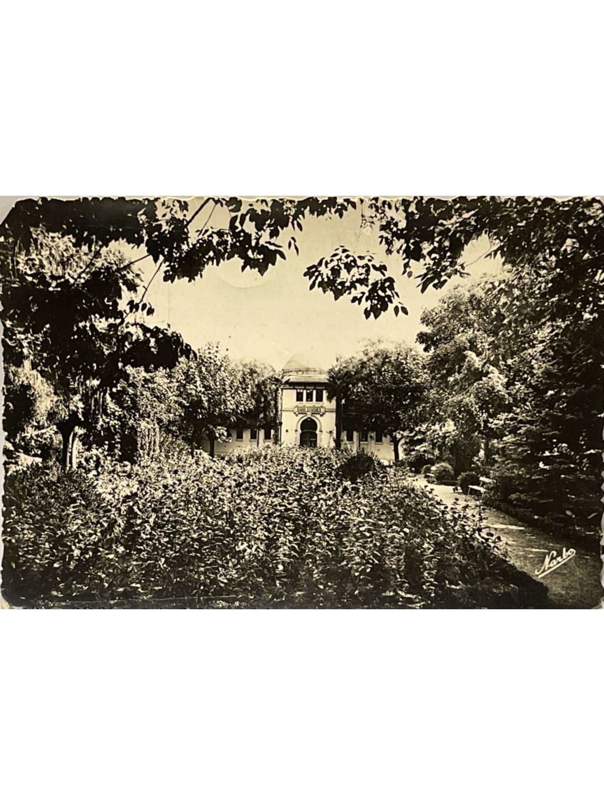 Recto de la carte postale