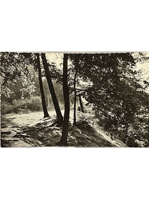 Chars (Val-d'Oise) – Sous-Bois – Carte postale Combier