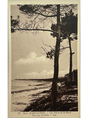 Pyla-sur-Mer – Vue sur la côte près d'Arcachon – CPA LL n°13