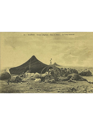 Algérie – Dans le désert, le camp endormi – Scènes indigènes – CPA n°31