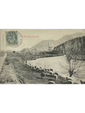 Recto de la carte postale