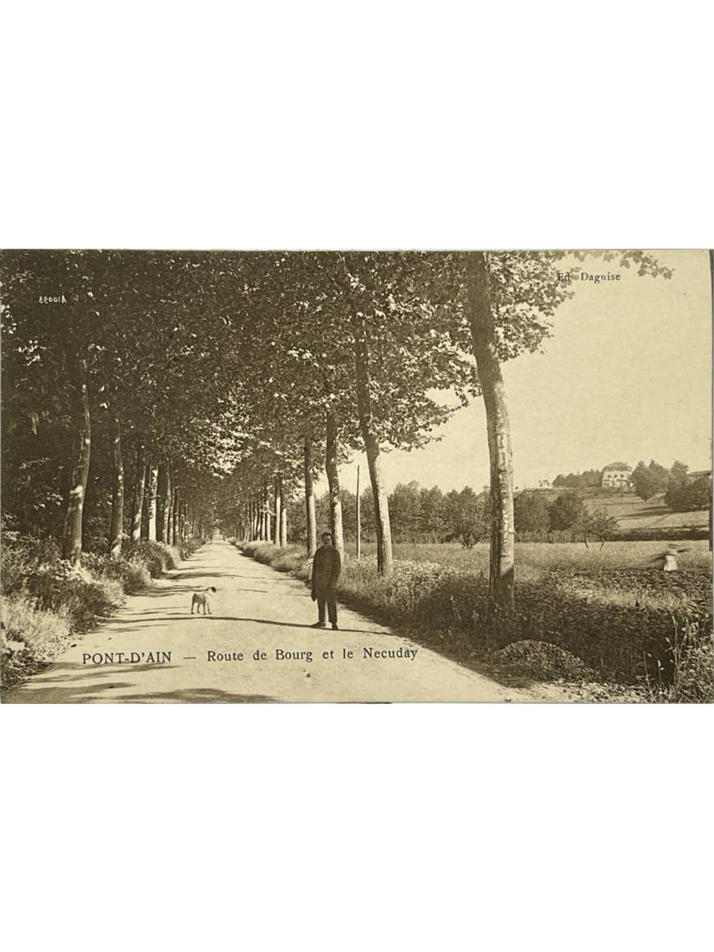Recto de la carte postale