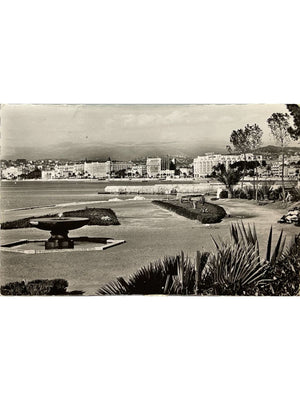 Cannes – Jardins du Palm Beach et Croisette – CPSM 1953
