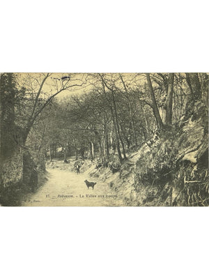 Robinson – La Vallée aux Loups, chemin boisé et chien – CPA n° 17
