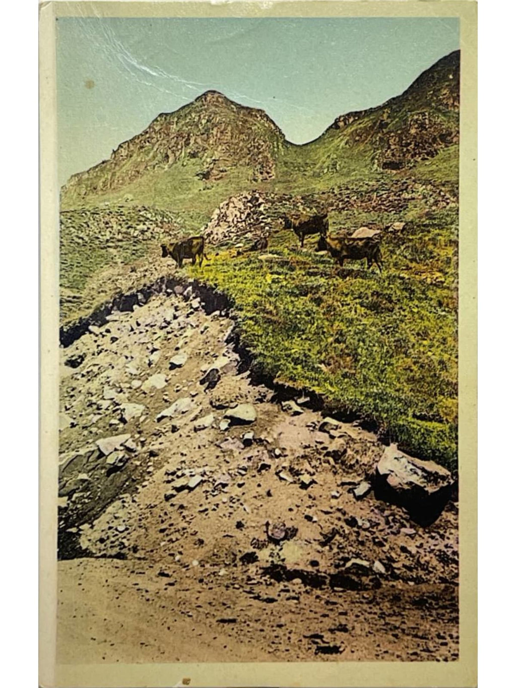 Recto de la carte postale