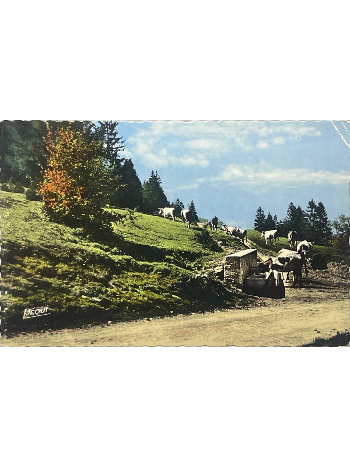 Recto de la carte postale