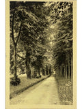 Recto de la carte postale