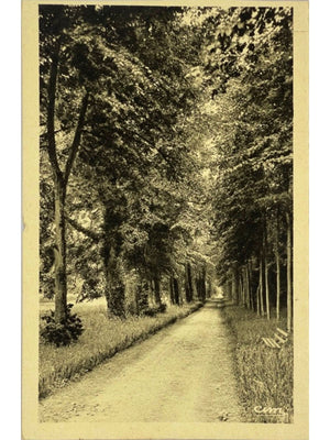 Maintenon – Allée Racine dans le parc du château – CPSM