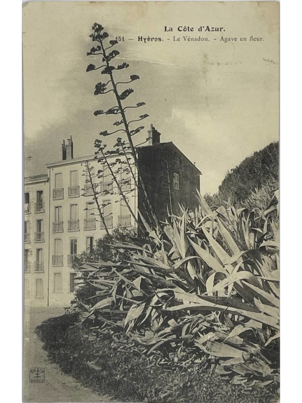 Recto de la carte postale