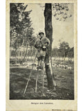 Recto de la carte postale