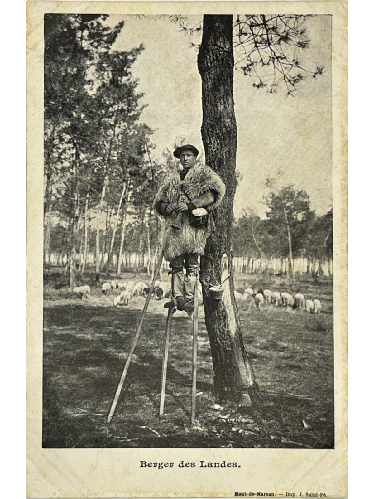 Recto de la carte postale